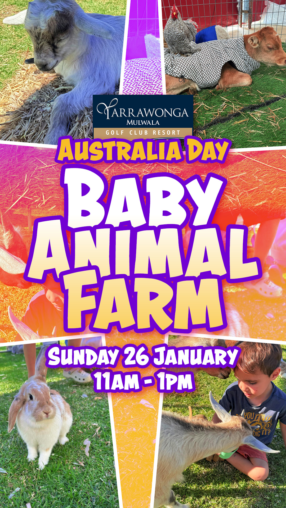 Australia Day Baby Animal Farm